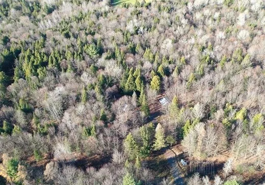 Land for Sale - 96 Route 116 O., Lefebvre, J0H 2C0