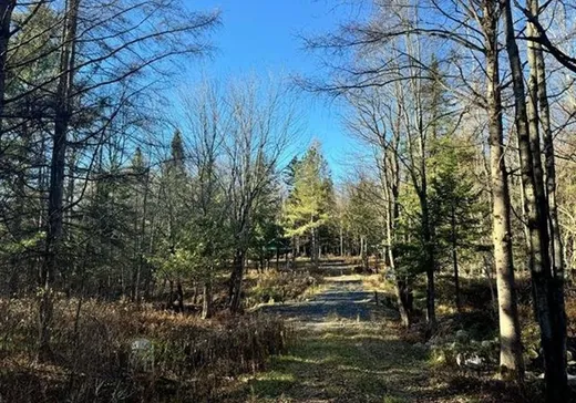 Land for Sale - 96 Route 116 O., Lefebvre, J0H 2C0