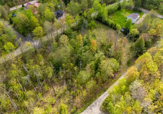 Terrain à vendre -  Rue des Grives, Magog, J1X 0M9