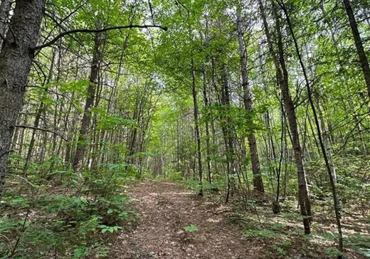 Terrain à vendre -  Rg de la Rivière, Mandeville, J0K1L0