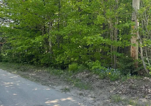 Land for Sale - Rue du Tour- Rue du Tour-du-Lac, Mont-Blanc, J0T 2G0