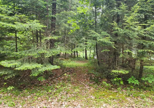 Land for Sale -  Ch. Sabourin, Val-des-Bois, J0X 3C0