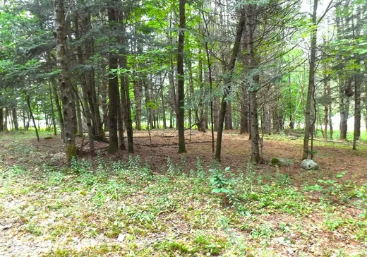 Terrain à vendre - 18 Ch. Dewar, Harrington, J8G2T3