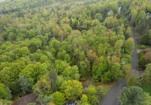 Terrain à vendre -  Rue de Lucerne, Sainte-Adèle, J8B 1A3