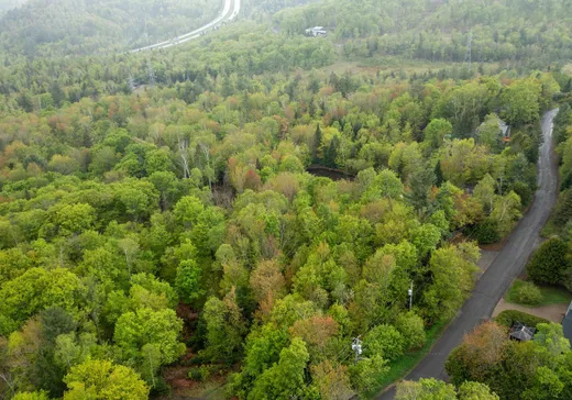 Terrain à vendre -  Rue de Lucerne, Sainte-Adèle, J8B 1A3