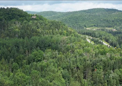 Land for Sale -  Ch. du Lac-Rougeaud, Mont-Tremblant, J0T 1J2