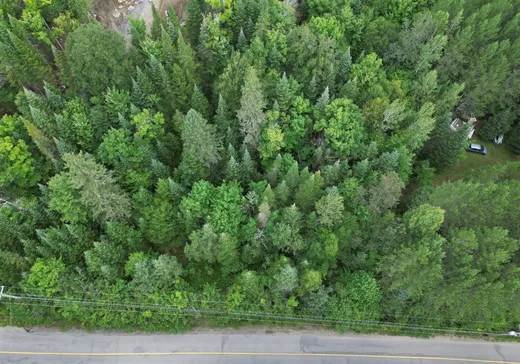 Land for Sale -  Ch. du Lac-Rougeaud, Mont-Tremblant, J0T 1J2