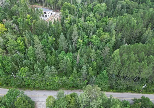 Land for Sale -  Ch. du Lac-Rougeaud, Mont-Tremblant, J0T 1J2