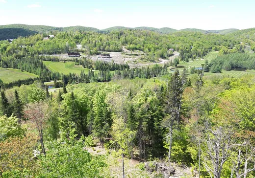 Land for Sale -  Allée du 5e, Mont-Tremblant, J0T 1J2