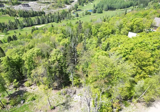 Land for Sale -  Allée du 5e, Mont-Tremblant, J0T 1J2