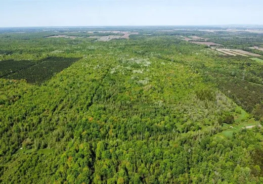 Terrain à vendre - 3840 7e Rang, Saint-Lucien, J0C 1N0