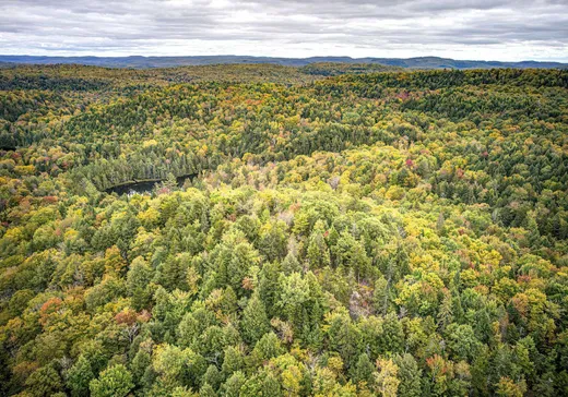 Terrain à vendre -  Ch. des Micmacs, Harrington, J8G 2S6