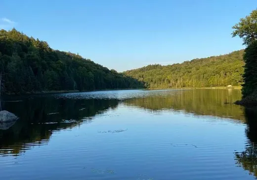 Terrain à vendre -  Ch. du Val-des-Bois, St-Adolphe d'Howard, J0T 2B0
