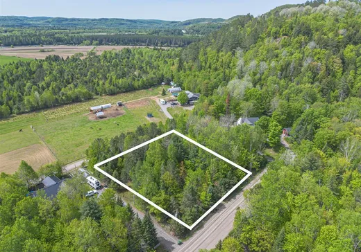 Land for sale - 240 Ch. de l'Acajou, Mont-Tremblant, J0T1M0
