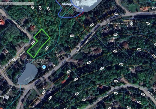 Terrain à vendre -  Ch. Paugé, Saint-Sauveur, J0R 1R1