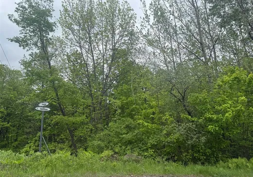Terrain à vendre -  Ch. Paugé, Saint-Sauveur, J0R 1R1
