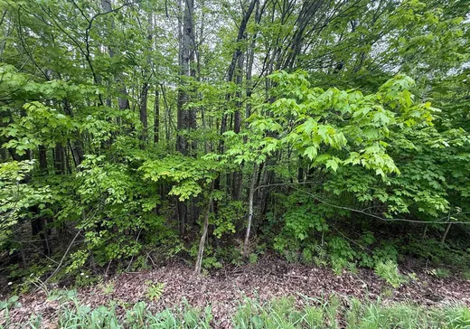 Terrain à vendre -  Ch. Paugé, Saint-Sauveur, J0R 1R1