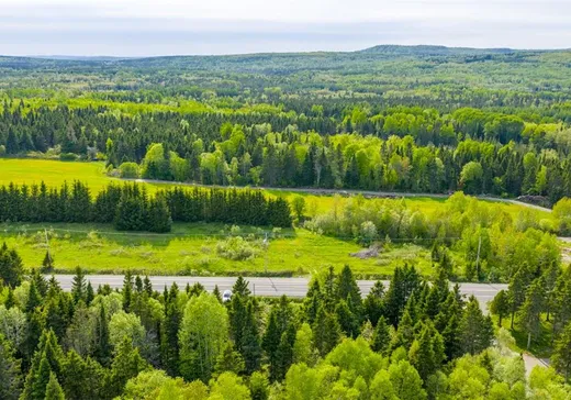Terrain à vendre -  Rue de la Gare, Saint-Honoré-de-Témiscouata, G0L 3K0