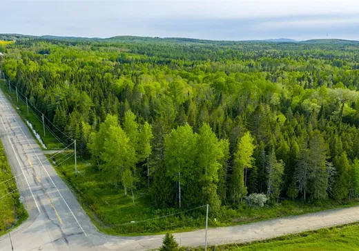 Terrain à vendre -  Rue de la Gare, Saint-Honoré-de-Témiscouata, G0L 3K0