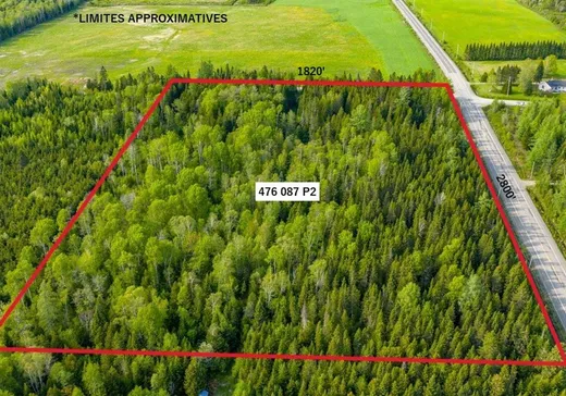 Terrain à vendre -  Rue de la Gare, Saint-Honoré-de-Témiscouata, G0L 3K0