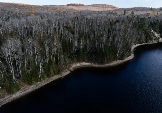 Terrain à vendre -  Ch. de Val-Limoges, Mont-Laurier, J9L 3G6