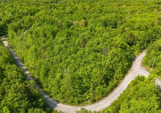 Terrain à vendre -  Rue de Rennes, Eastman, J0E 1P0