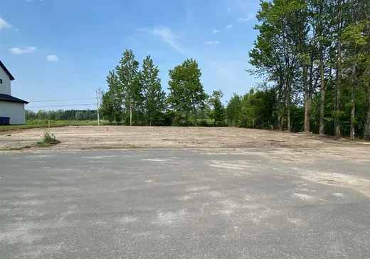 Terrain à vendre - 37 Rue Marie-Didace, Massueville, J3P 0J5