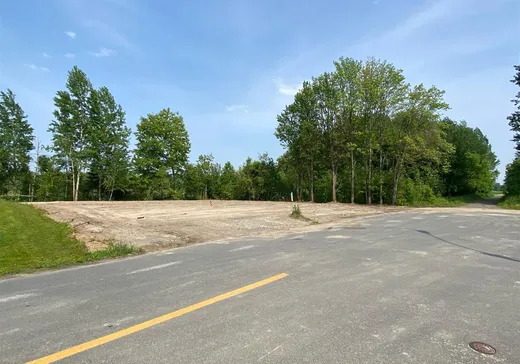 Terrain à vendre - 37 Rue Marie-Didace, Massueville, J3P 0J5