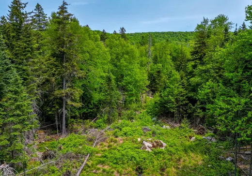 Terrain à vendre -  Rue des Gardénias, Val David, J0T 2N0