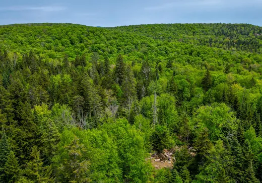 Terrain à vendre -  Rue des Gardénias, Val David, J0T 2N0