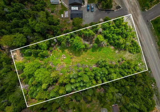 Terrain à vendre -  Rue des Gardénias, Val David, J0T 2N0