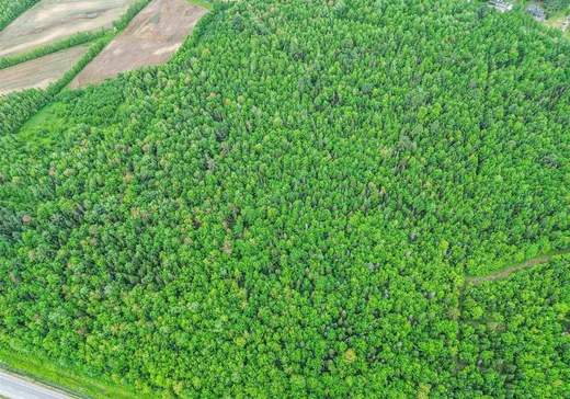 Land for Sale -  Boul. Mercure, Beaupré, H0H 0H0