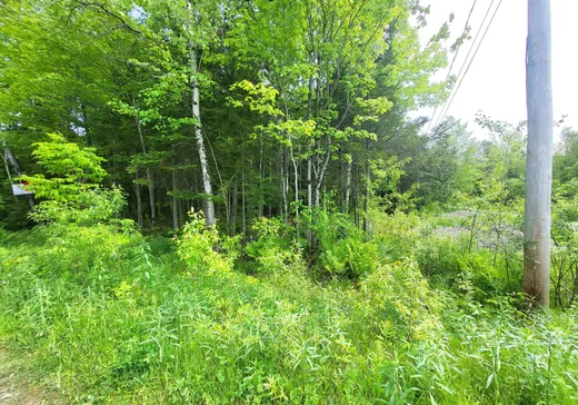 Terrain à vendre -  Rue du Faisan, Magog, J1X 4T9