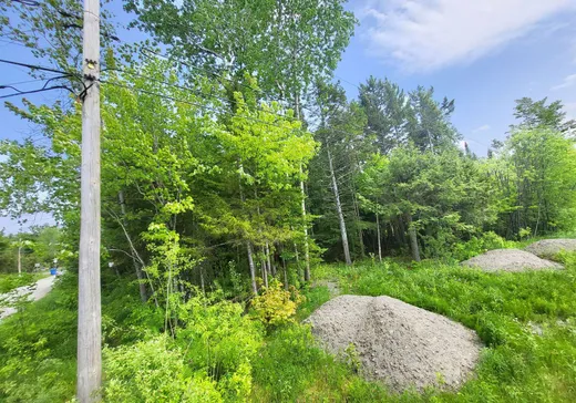 Terrain à vendre -  Rue du Faisan, Magog, J1X 4T9