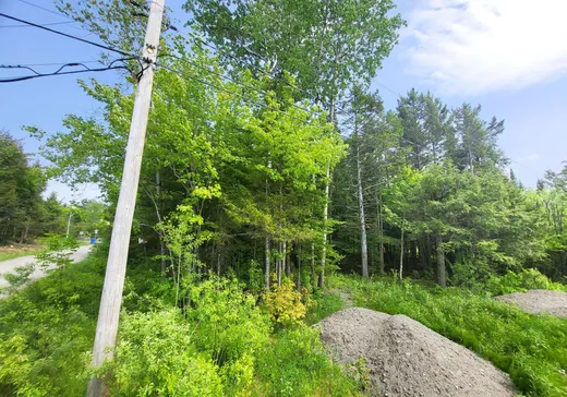 Terrain à vendre -  Rue du Faisan, Magog, J1X 4T9