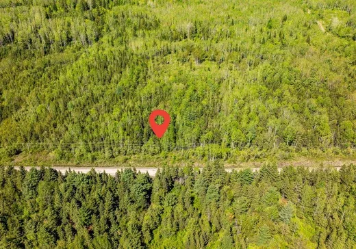Terrain à vendre - 253 Rg Gravel, Dégelis, G5T1G2
