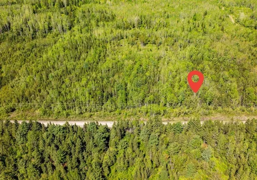 Terrain à vendre - 253 Rg Gravel, Dégelis, G5T1G2
