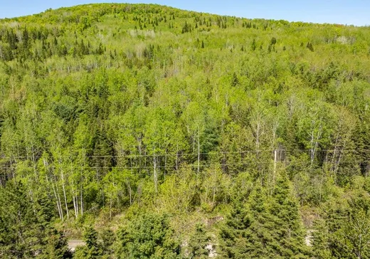 Terrain à vendre - 253 Rg Gravel, Dégelis, G5T 1G2