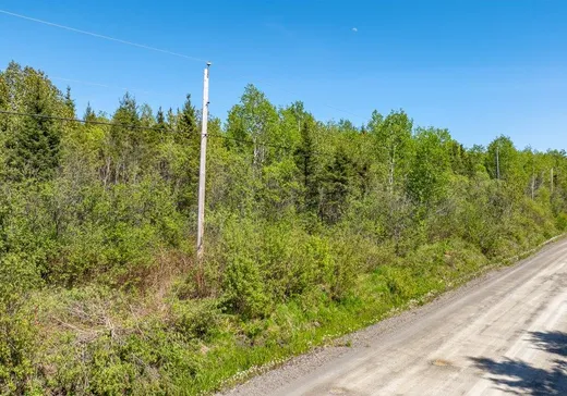 Terrain à vendre - 253 Rg Gravel, Dégelis, G5T 1G2