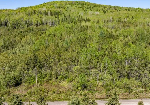 Terrain à vendre - 253 Rg Gravel, Dégelis, G5T 1G2