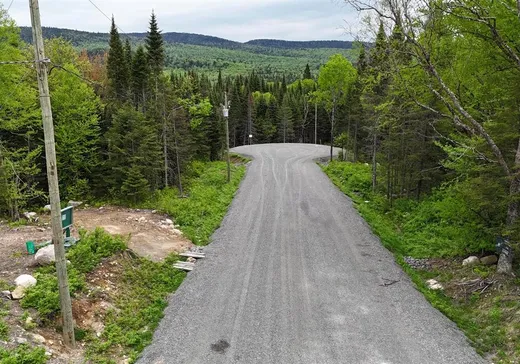 Land for sale -  Ch. du Lac-Baribeau, St-Donat-De-Montcalm, J0T2C0