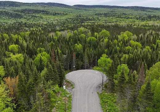 Land for Sale -  Ch. du Lac-Baribeau, St-Donat-De-Montcalm, J0T 2C0