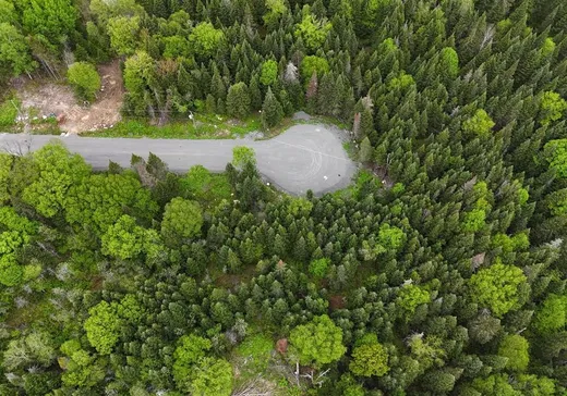 Land for Sale -  Ch. du Lac-Baribeau, St-Donat-De-Montcalm, J0T 2C0