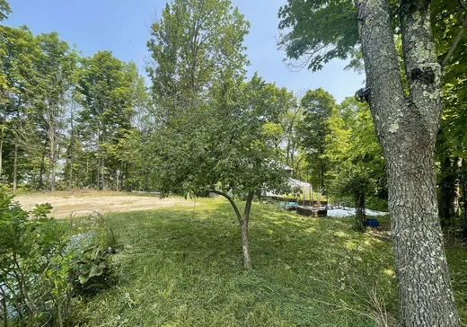 Land for Sale - 377 Route 253, Cookshire-Eaton, J0B 1M0