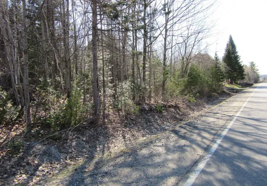 Land for sale -  Rue du Vieux-Verbal, Saint-Calixte, J0K1Z0