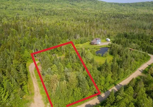 Terrain à vendre - 142 Ch. Ginette, Notre-Dame-Des-Boies, J0B 2E0
