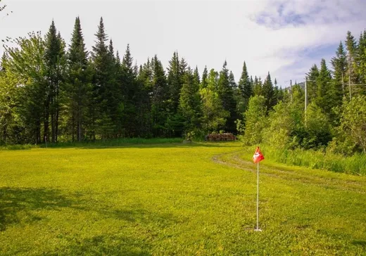 Terrain à vendre - 142 Ch. Ginette, Notre-Dame-Des-Boies, J0B 2E0