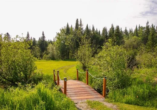 Terrain à vendre - 142 Ch. Ginette, Notre-Dame-Des-Boies, J0B 2E0