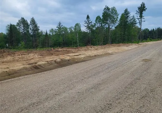 Terrain à vendre -  Boul. Des Ruisseaux, Mont-Laurier, J9L 0H6