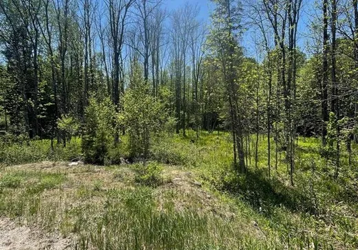 Terrain à vendre -  Route 311 S., Mont-Laurier, J0W 1H0